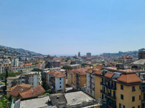 Il Gabbiano